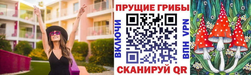 Псилоцибиновые грибы Psilocybe  mega рабочий сайт  Пошехонье 